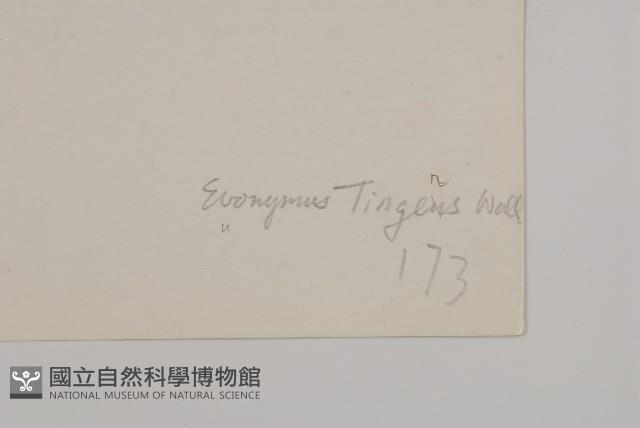 登錄號:S022117藏品圖，第3張