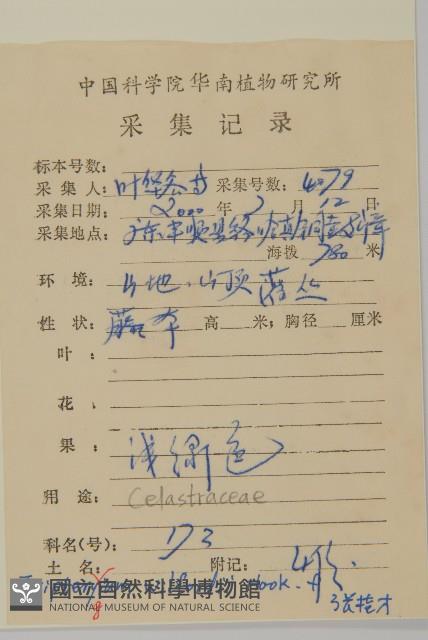 雷公藤藏品圖，第2張