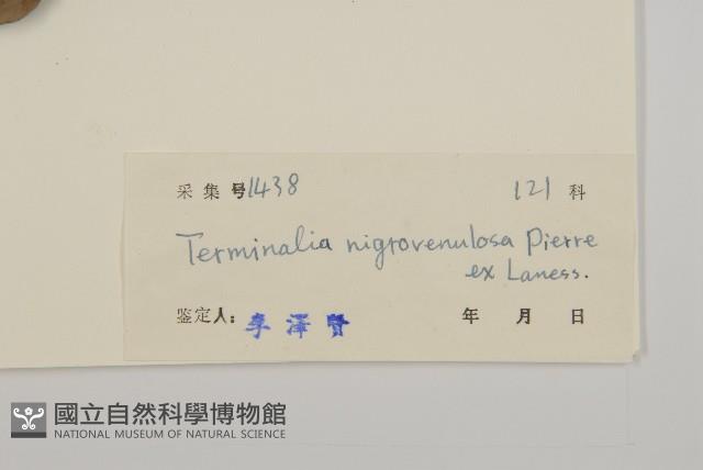 登錄號:S032817藏品圖，第3張