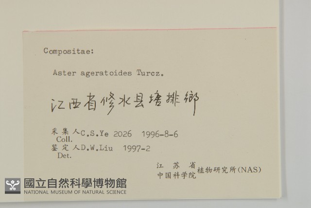 山白蘭藏品圖，第3張