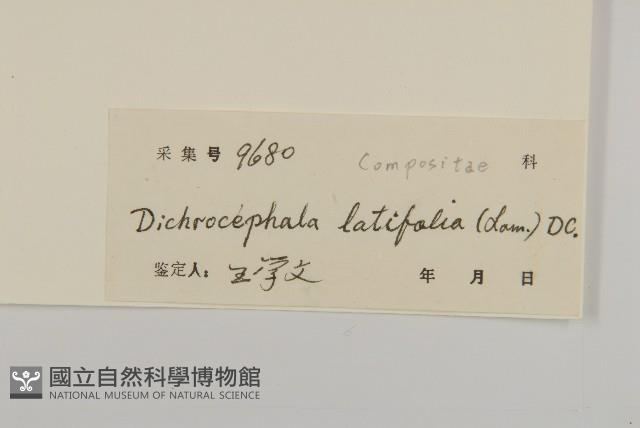 登錄號:S041817藏品圖，第3張