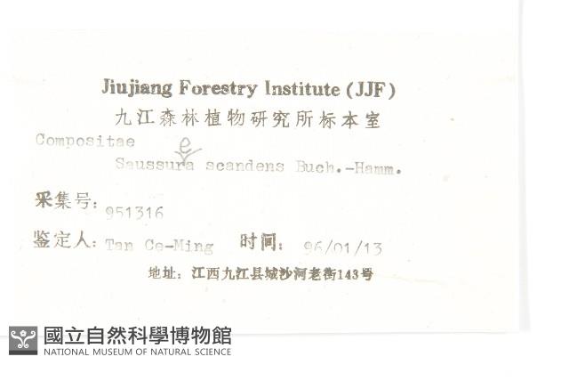 千里光藏品圖，第3張