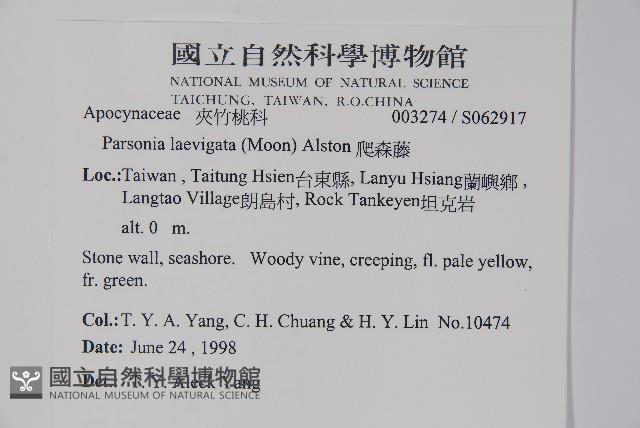 爬森藤藏品圖，第2張