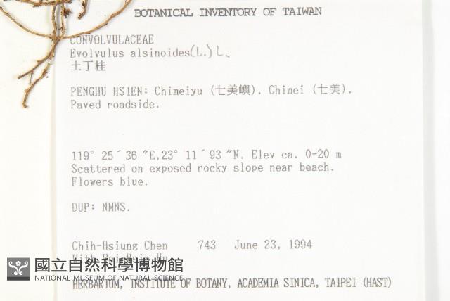 土丁桂藏品圖，第2張