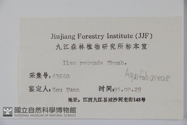 鐵冬青藏品圖，第2張