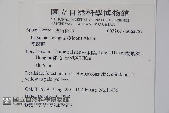 爬森藤藏品圖，第2張