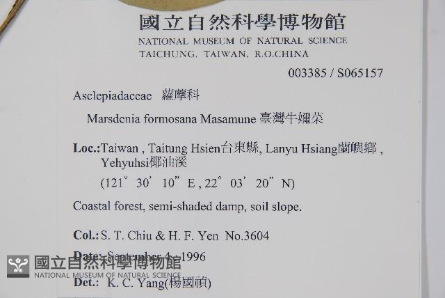 臺灣牛嬭菜藏品圖，第2張