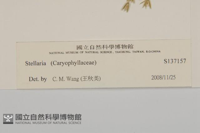 登錄號:S137157藏品圖，第3張