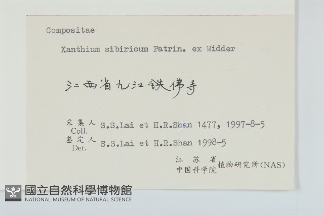 蒼耳藏品圖，第3張