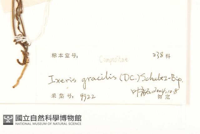 細葉苦實藏品圖，第3張