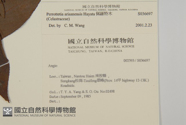 佩羅特木藏品圖，第2張