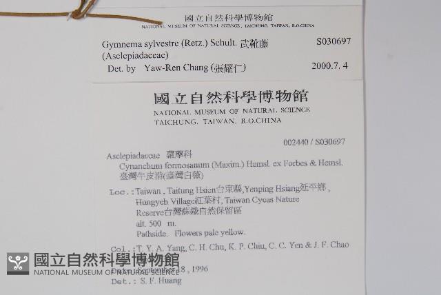 武靴藤藏品圖，第2張