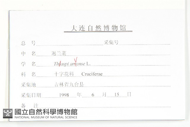 凹果菥蓂、遏藍菜藏品圖，第3張