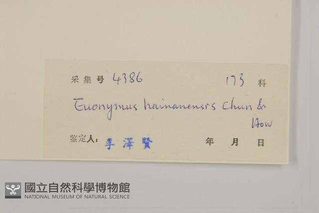 海南衛矛藏品圖，第3張