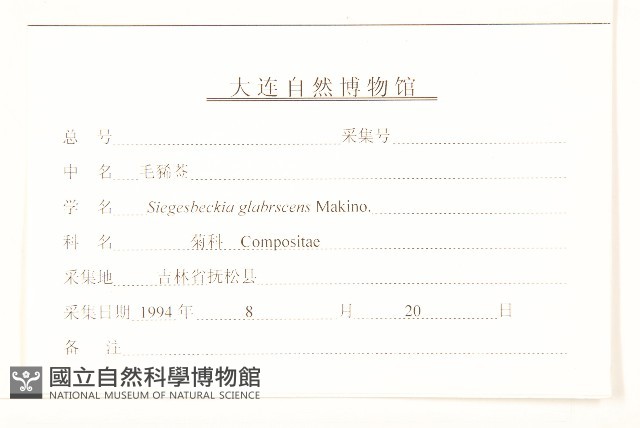 毛梗豨薟藏品圖，第3張