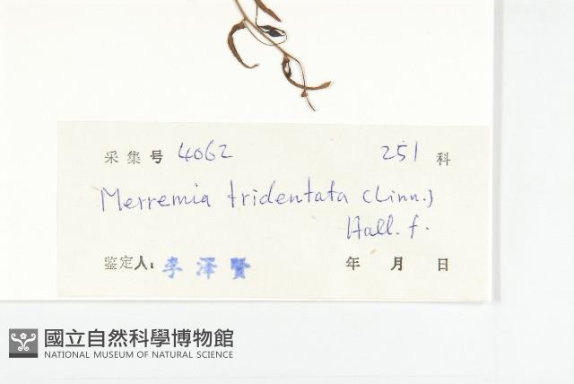 登錄號:S033997藏品圖，第3張