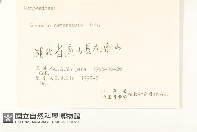 黃菀藏品圖，第3張