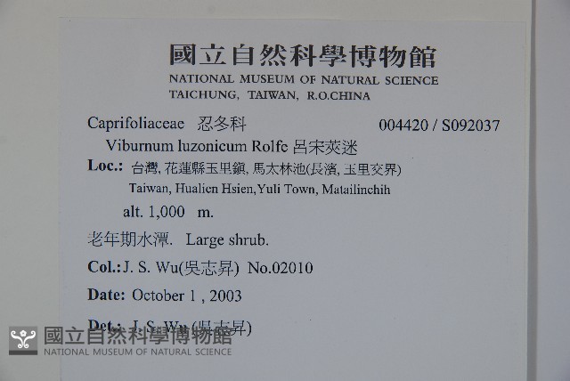 呂宋莢迷藏品圖，第2張