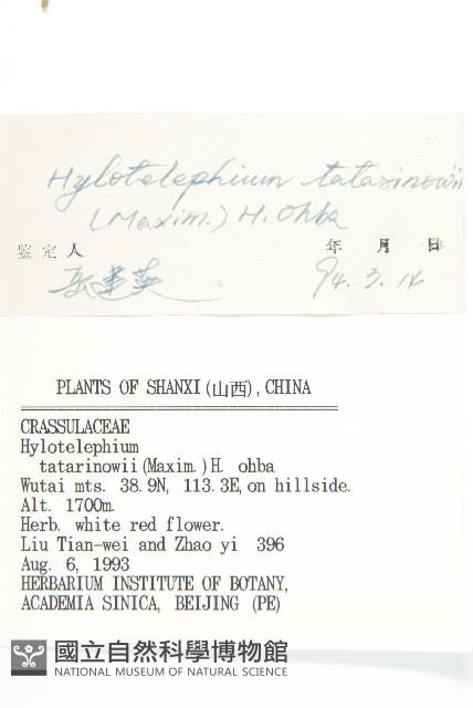 華北景天藏品圖，第3張