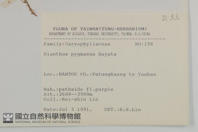 玉山石竹藏品圖，第2張