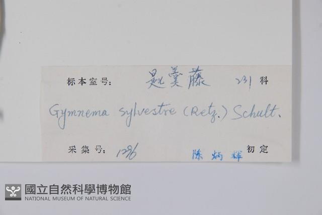 武靴藤藏品圖，第2張