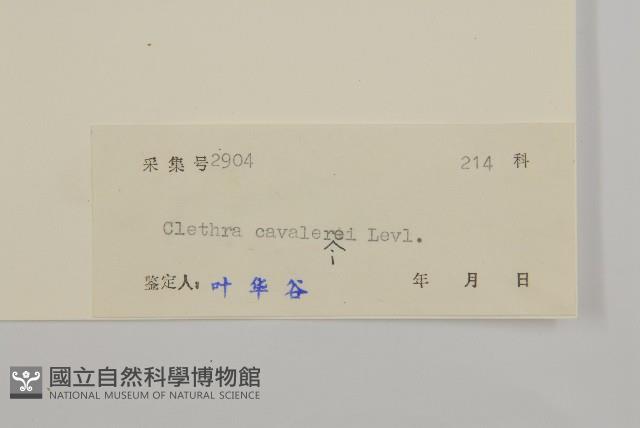 江南山柳藏品圖，第3張