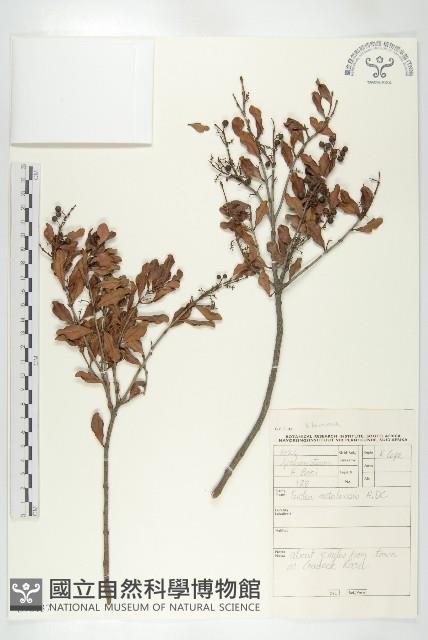 登錄號:S096137藏品圖，第3張