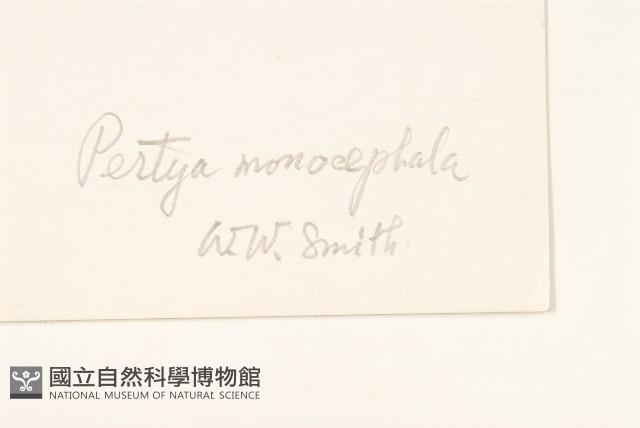 登錄號:S022137藏品圖，第3張