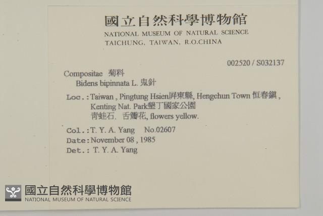 鬼針藏品圖，第2張