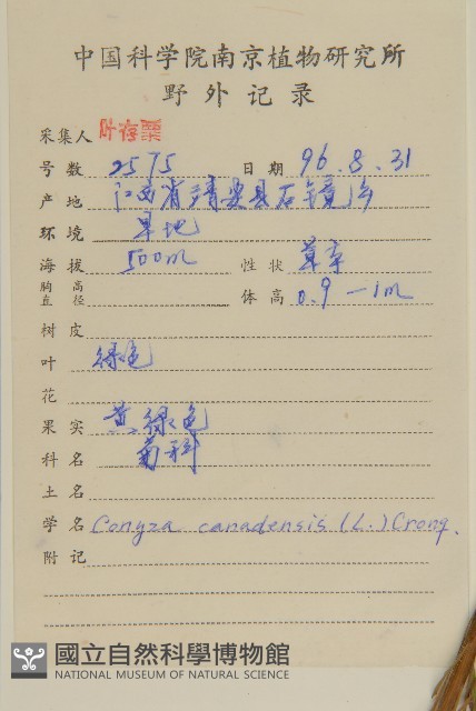 加拿大蓬藏品圖，第2張
