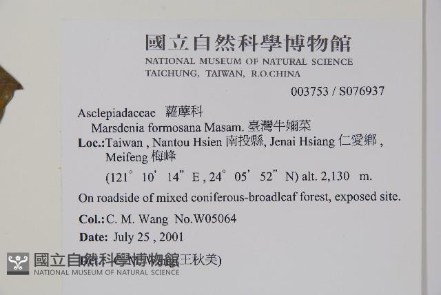 臺灣牛嬭菜藏品圖，第2張