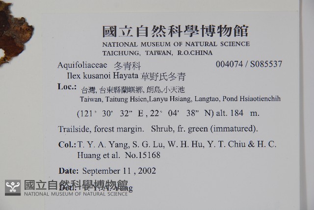 草野氏冬青藏品圖，第2張