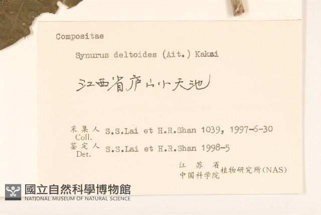 山牛旁藏品圖，第3張