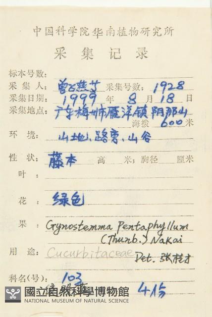 絞股藍藏品圖，第2張