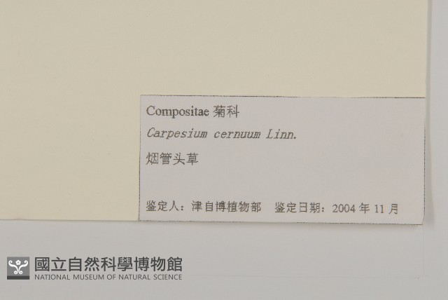杓兒菜藏品圖，第3張