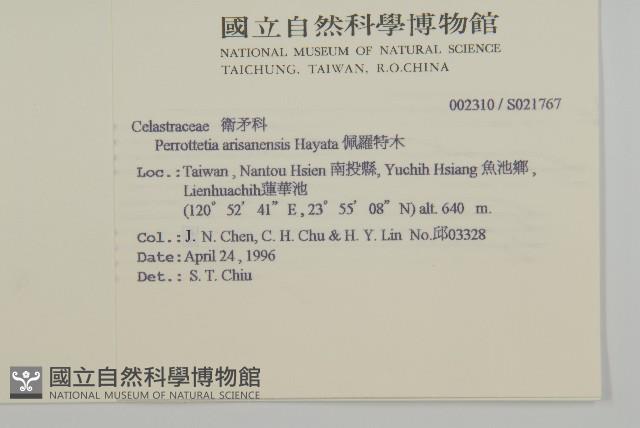 佩羅特木藏品圖，第2張