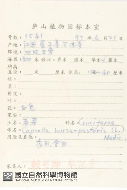 薺藏品圖，第2張