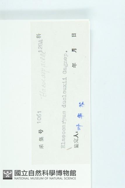 冬桃藏品圖，第3張