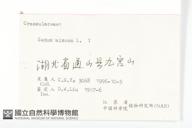 費菜藏品圖，第3張