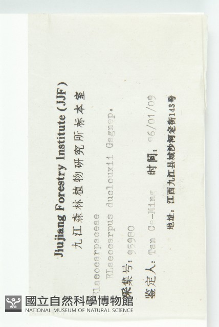 冬桃藏品圖，第3張