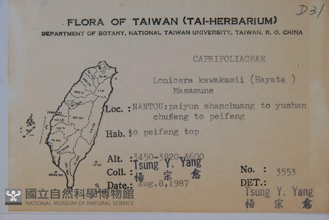 川上氏忍冬藏品圖，第2張