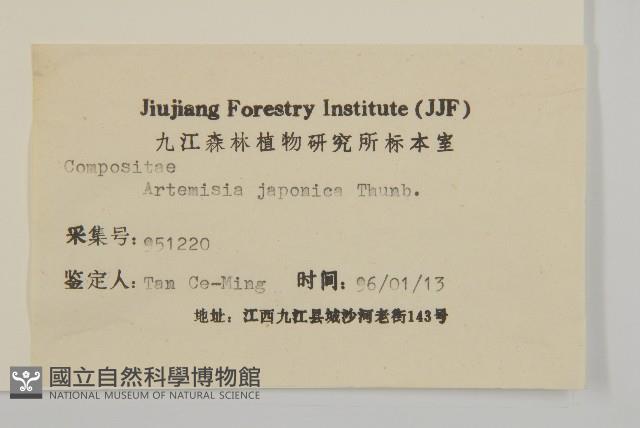 牡蒿藏品圖，第3張