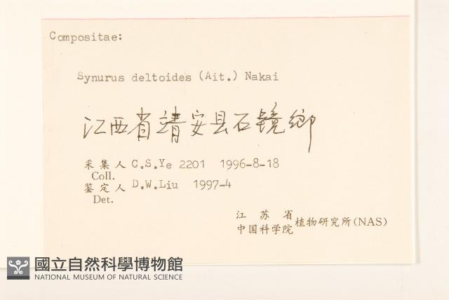 山牛旁藏品圖，第3張