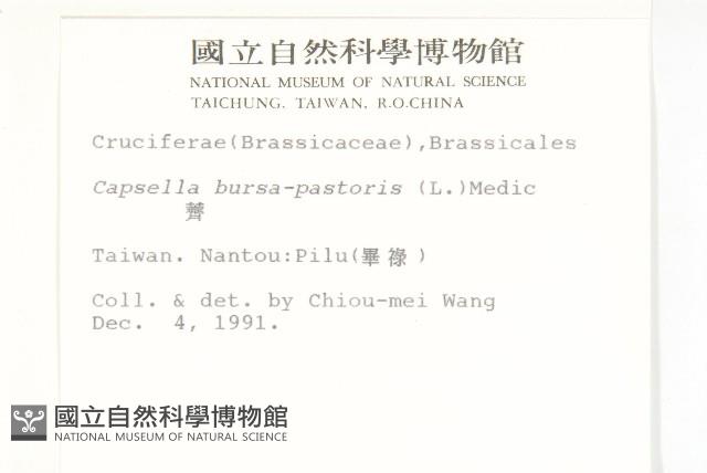 薺藏品圖，第2張