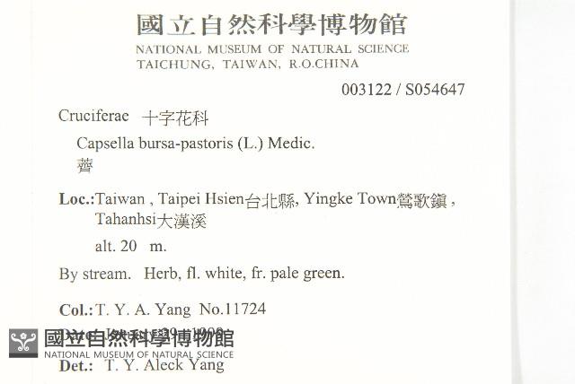 薺藏品圖，第2張