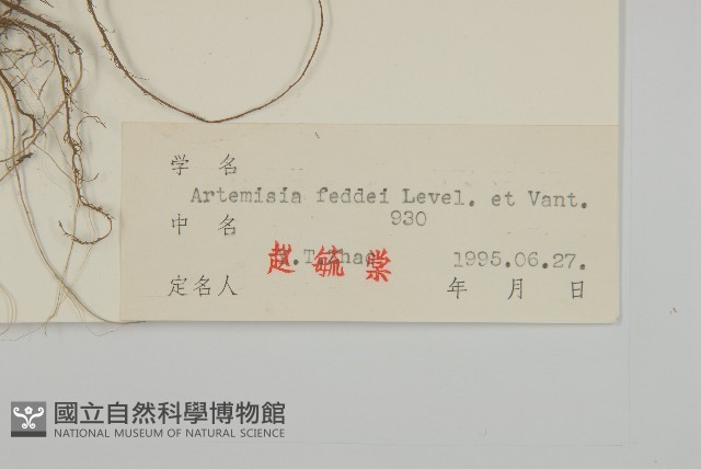 小艾藏品圖，第3張