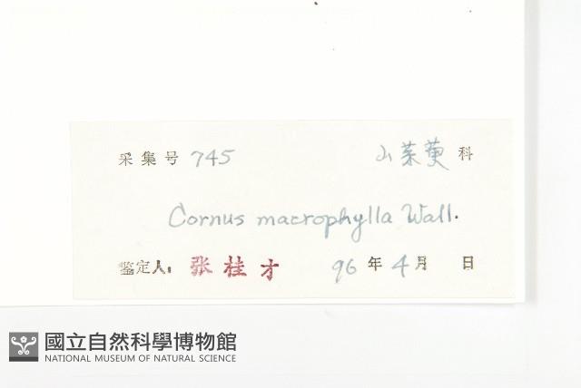 梜木藏品圖，第3張