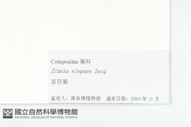 野艾蒿藏品圖，第3張