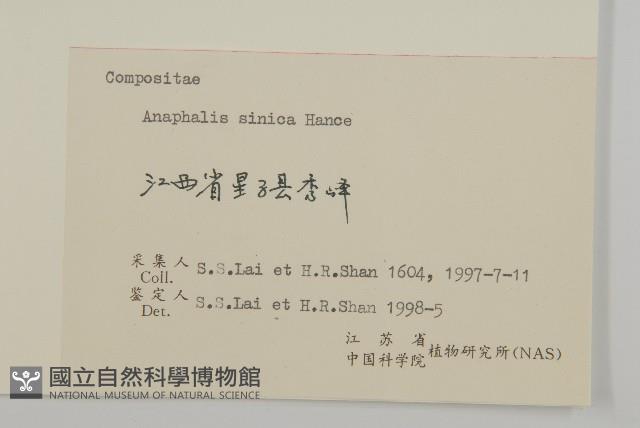 香青藏品圖，第3張