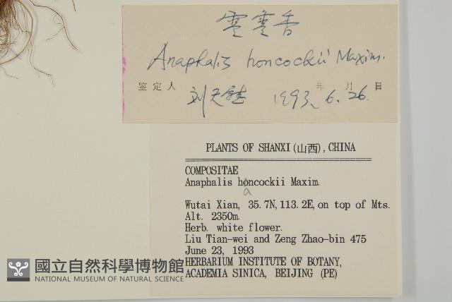 零零香藏品圖，第3張